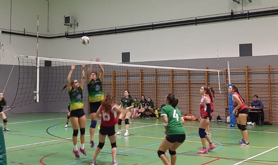 CD Segovoley: Balance positivo en la doble jornada de León