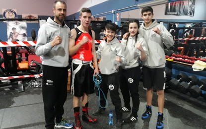 El Club Segoboxing obtiene cuatro metales en las finales de los Campeonatos Autonómicos de Boxeo Olímpico