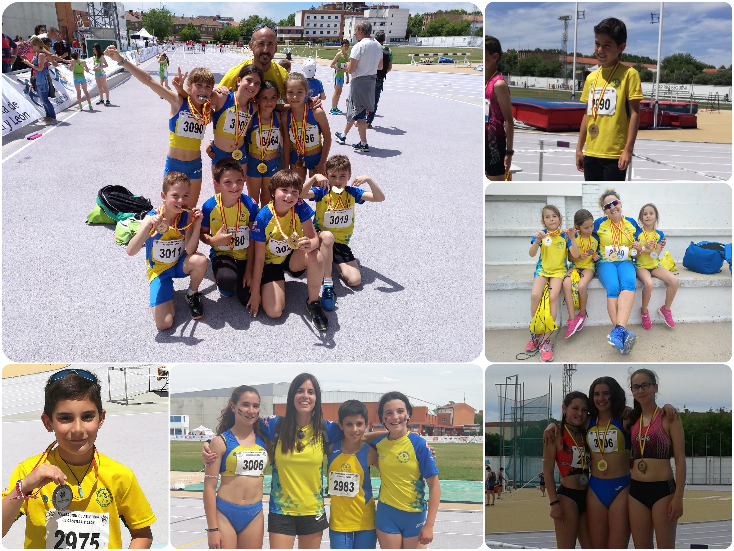 15 medallas para el CD Sporting Segovia en Campeonatos Autonómicos Individuales y de Relevos de Clubes