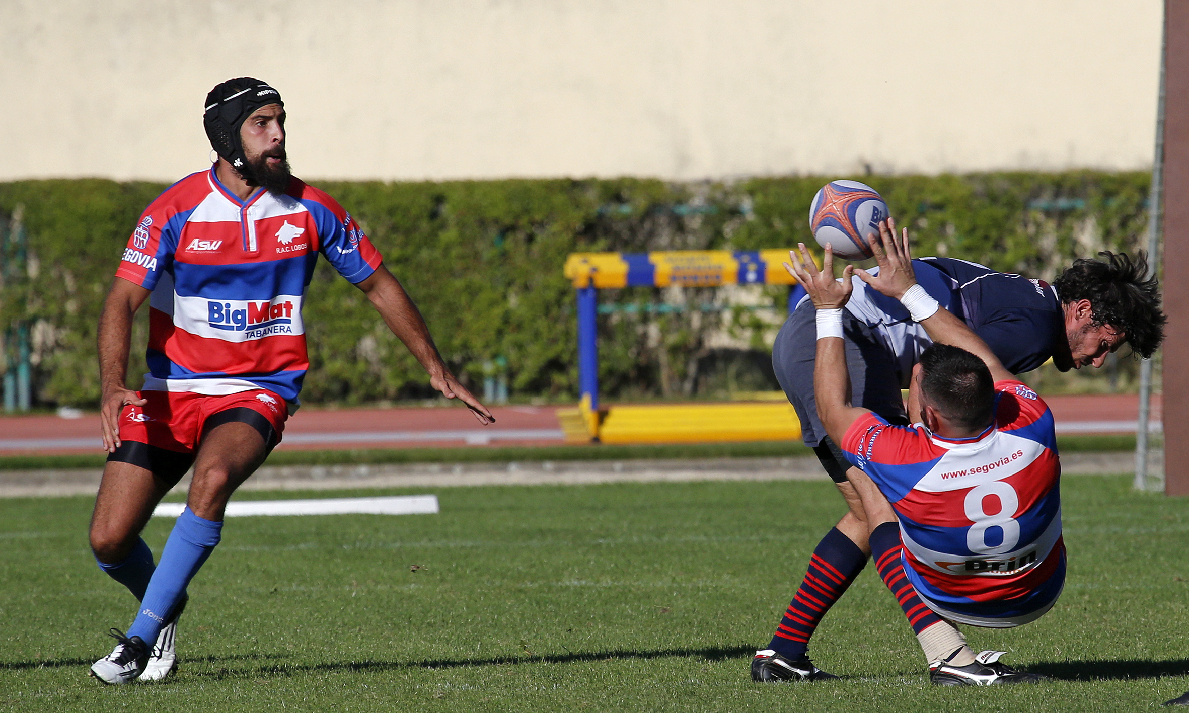 El BigMat Tabanera Lobos consigue una importante victoria frente al Hortaleza