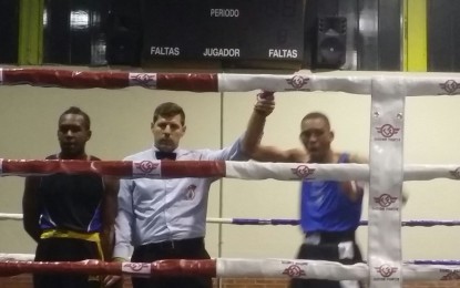 Segoboxing: Crónica de Boxeo