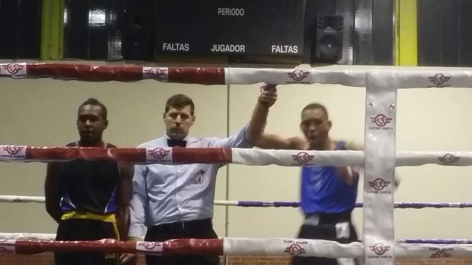 Segoboxing: Crónica de Boxeo