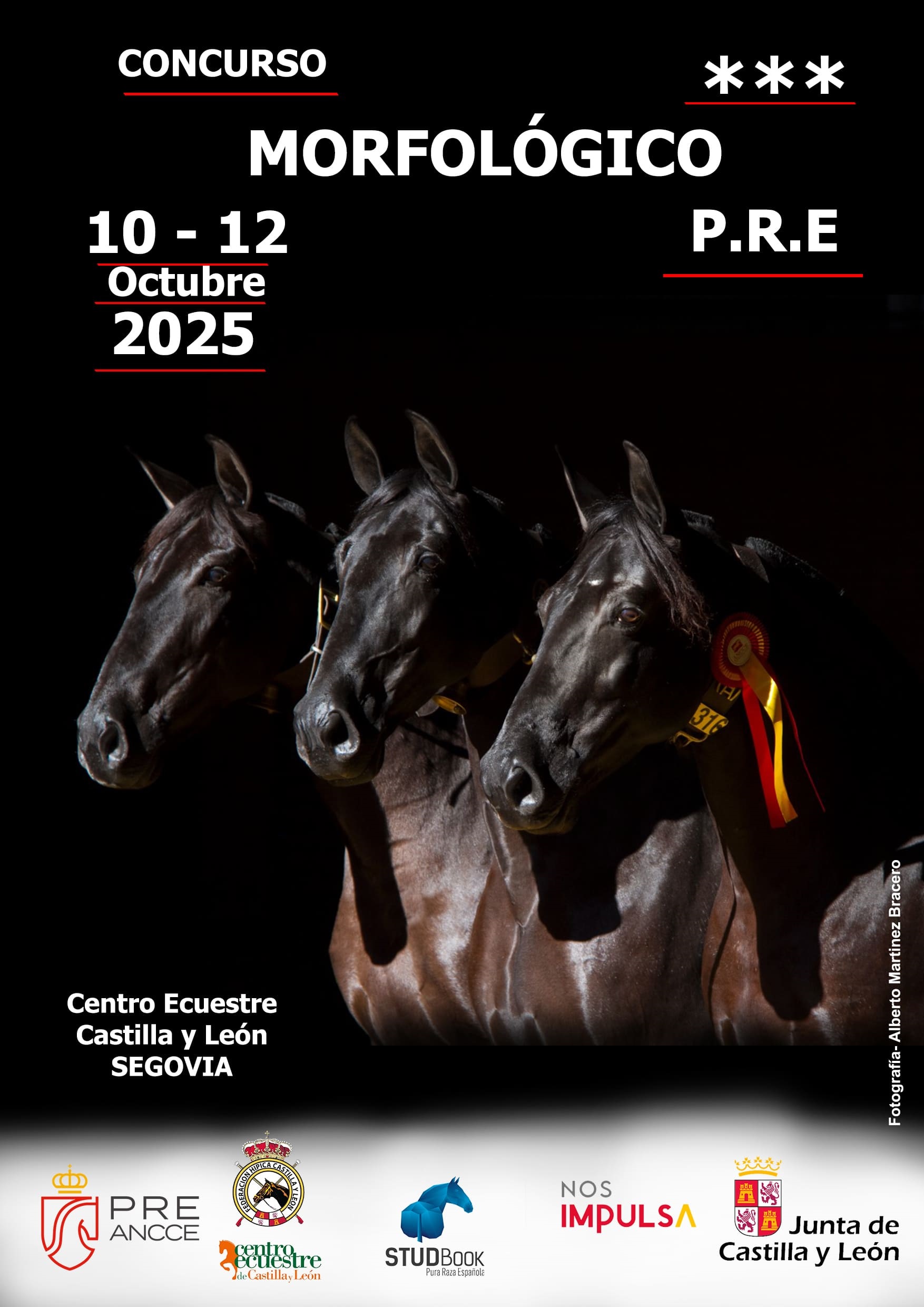 Centro Ecuestre de Castilla y León: Los mejores caballos de Pura Raza Española compiten en Segovia