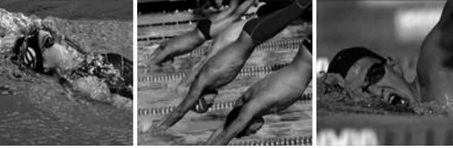 Nuevos cursos en las Piscina Climatizada “José Carlos Casado” con acreditación profesional