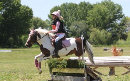 Centro Ecuestre de Castilla y León: Crónica del Fin de Semana