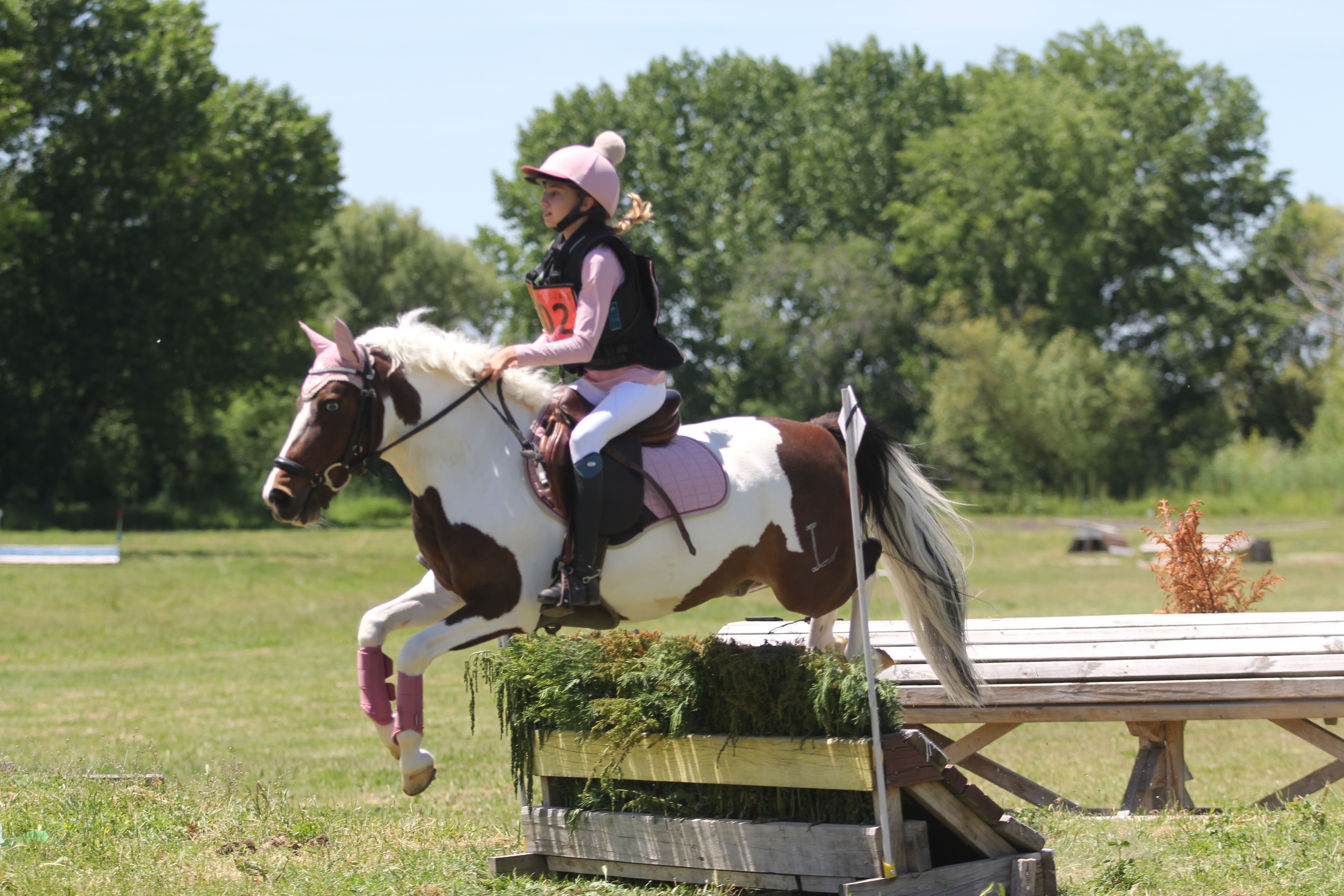Centro Ecuestre de Castilla y León: Crónica del Fin de Semana