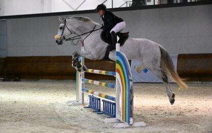 Federación Hípica de Castilla y León: Éxito del Jumping de Navidad