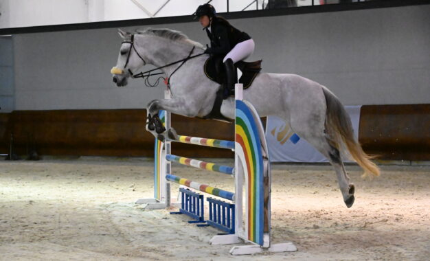 Federación Hípica de Castilla y León: Éxito del Jumping de Navidad