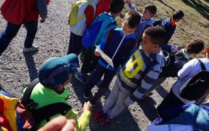 Juegos Escolares: Orientación Escolar