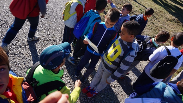 Juegos Escolares: Orientación Escolar