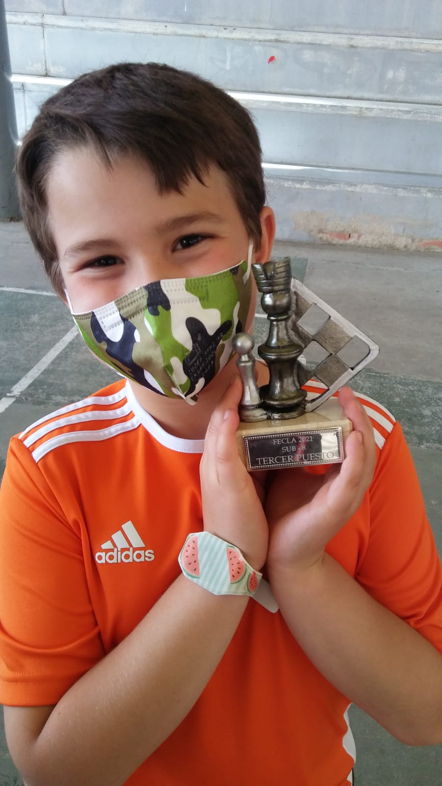 Delegación Segoviana de Ajedrez: Campeonatos Autonómicos de Castilla y León