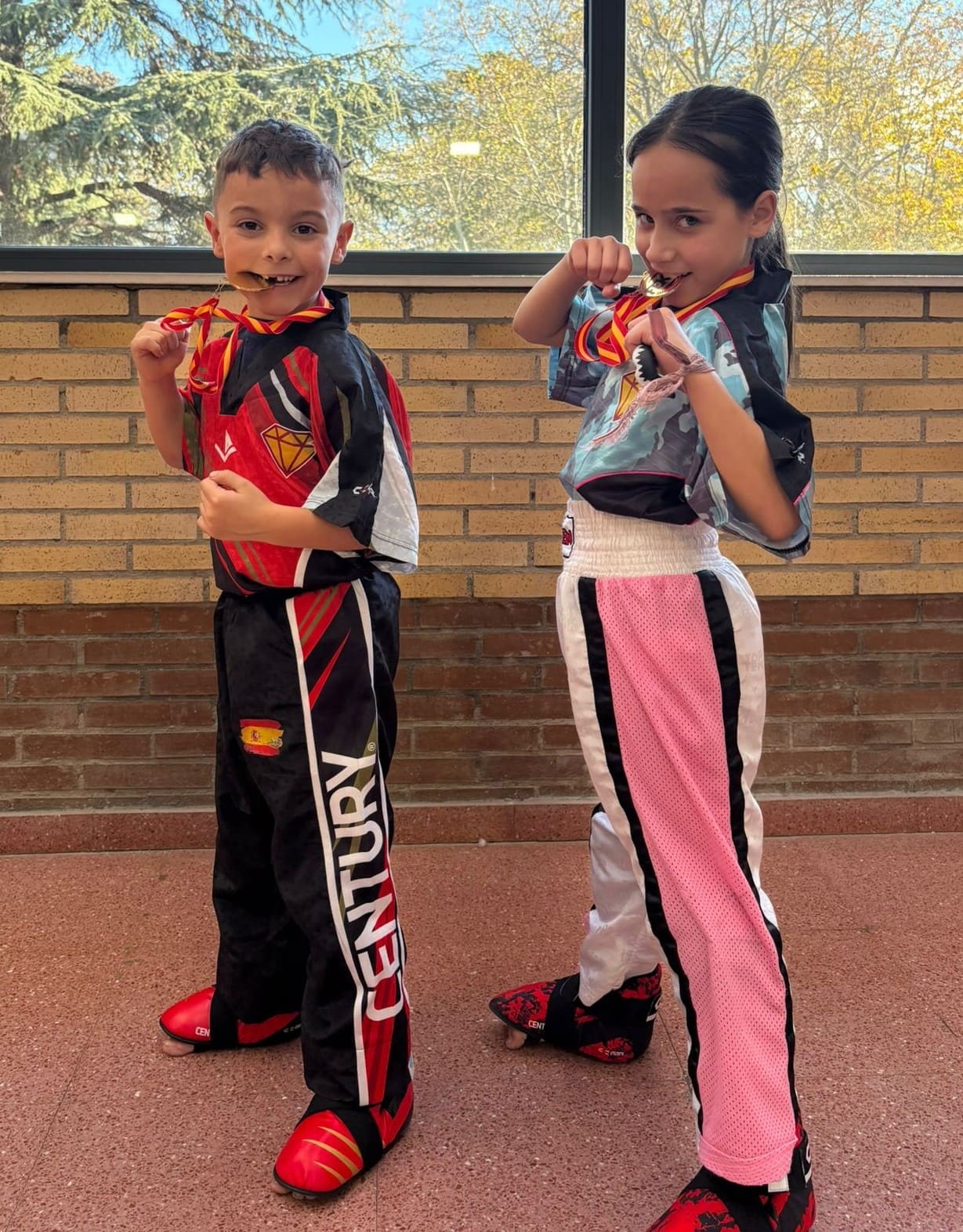 Federación Española de Kick Boxing: Open de Ávila
