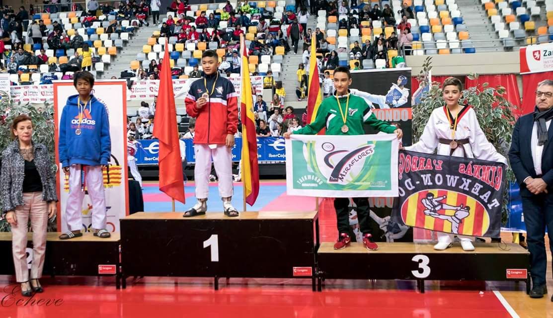 Enrique Herrero bronce en el IV Open de Aragón de Taekwondo