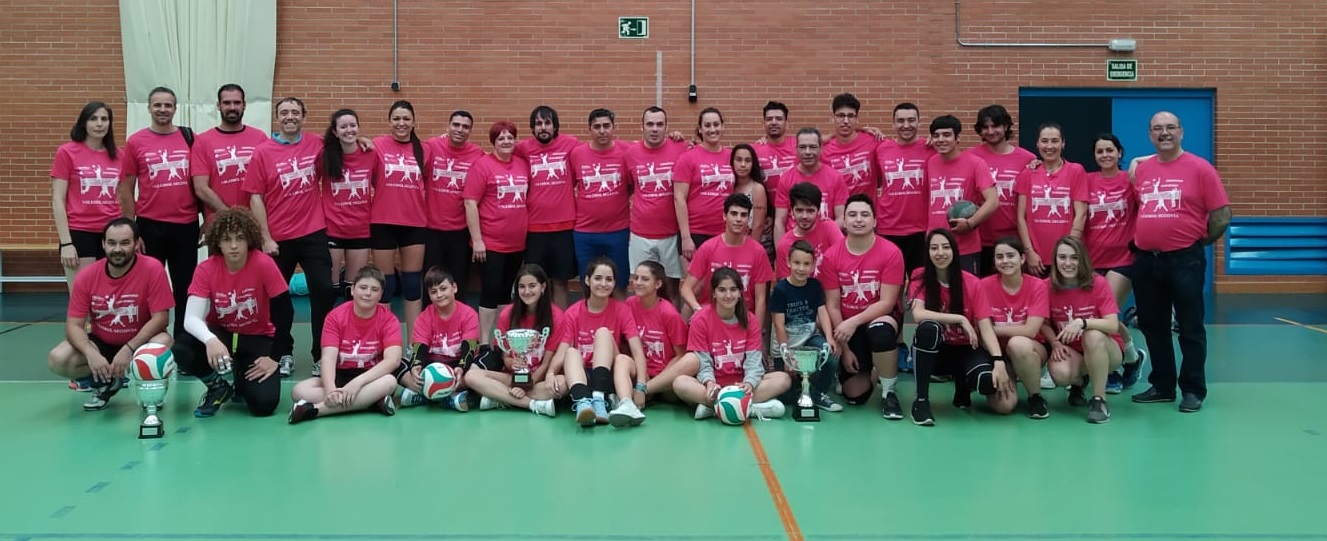 El Torneo de Primavera de Voleibol llega a su fin