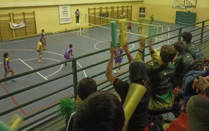 El Club Deportivo Segovoley suma cuatro victorias en cinco partidos en la primera jornada de la segunda vuelta en la competición de voleibol.