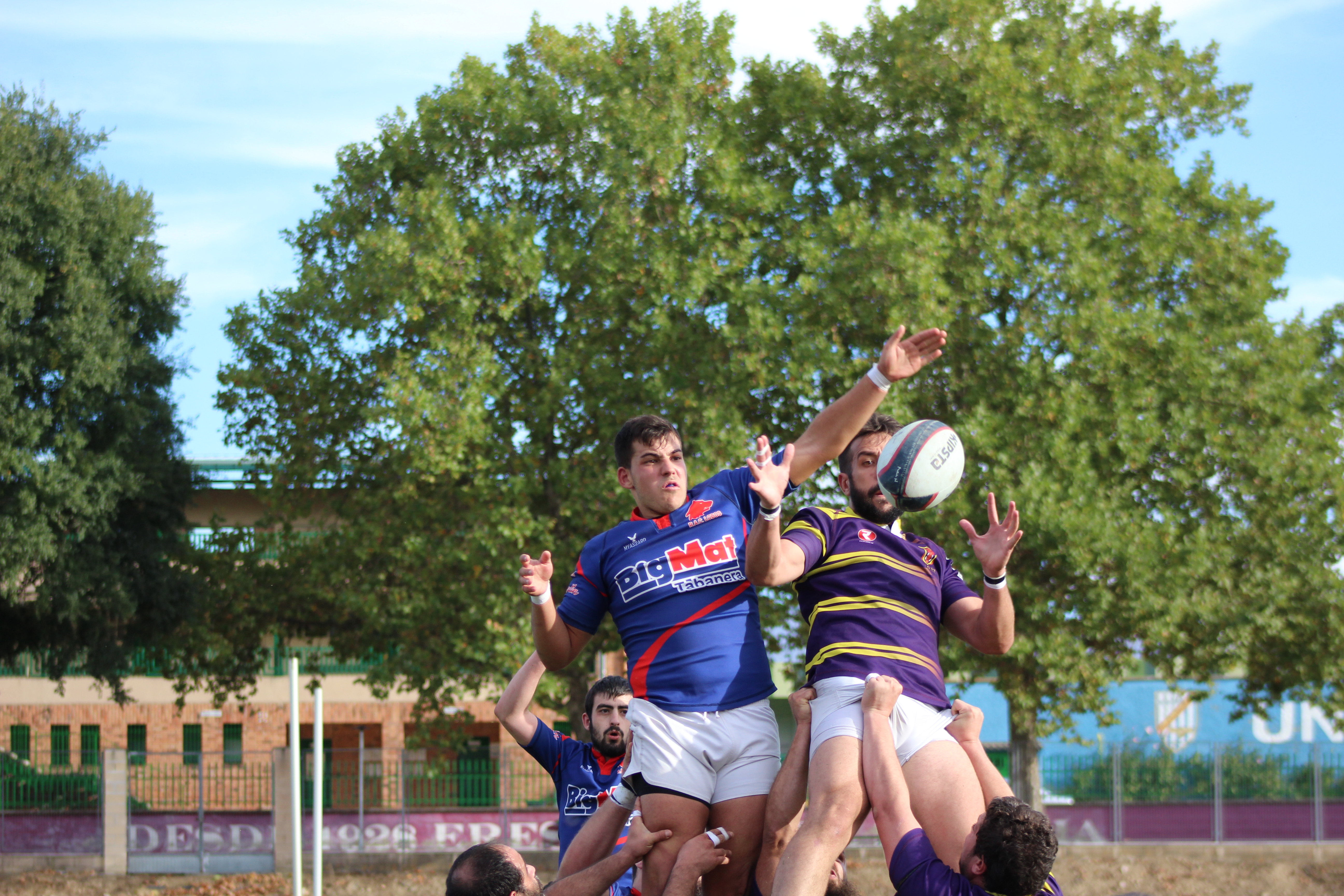 El Bigmat Tabanera Lobos consigue la primera victoria en segunda regional