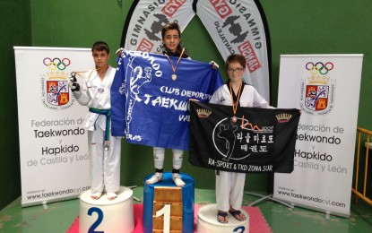 Plata y Bronce para el RM-Sport & TKD Zona Sur en el Open Ciudad de Cantalejo