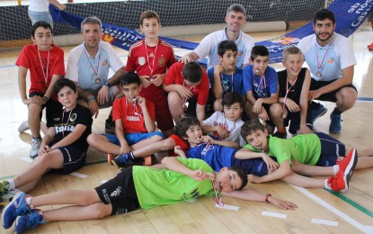 Llega el All Star Basket 2017 con un cambio de formato