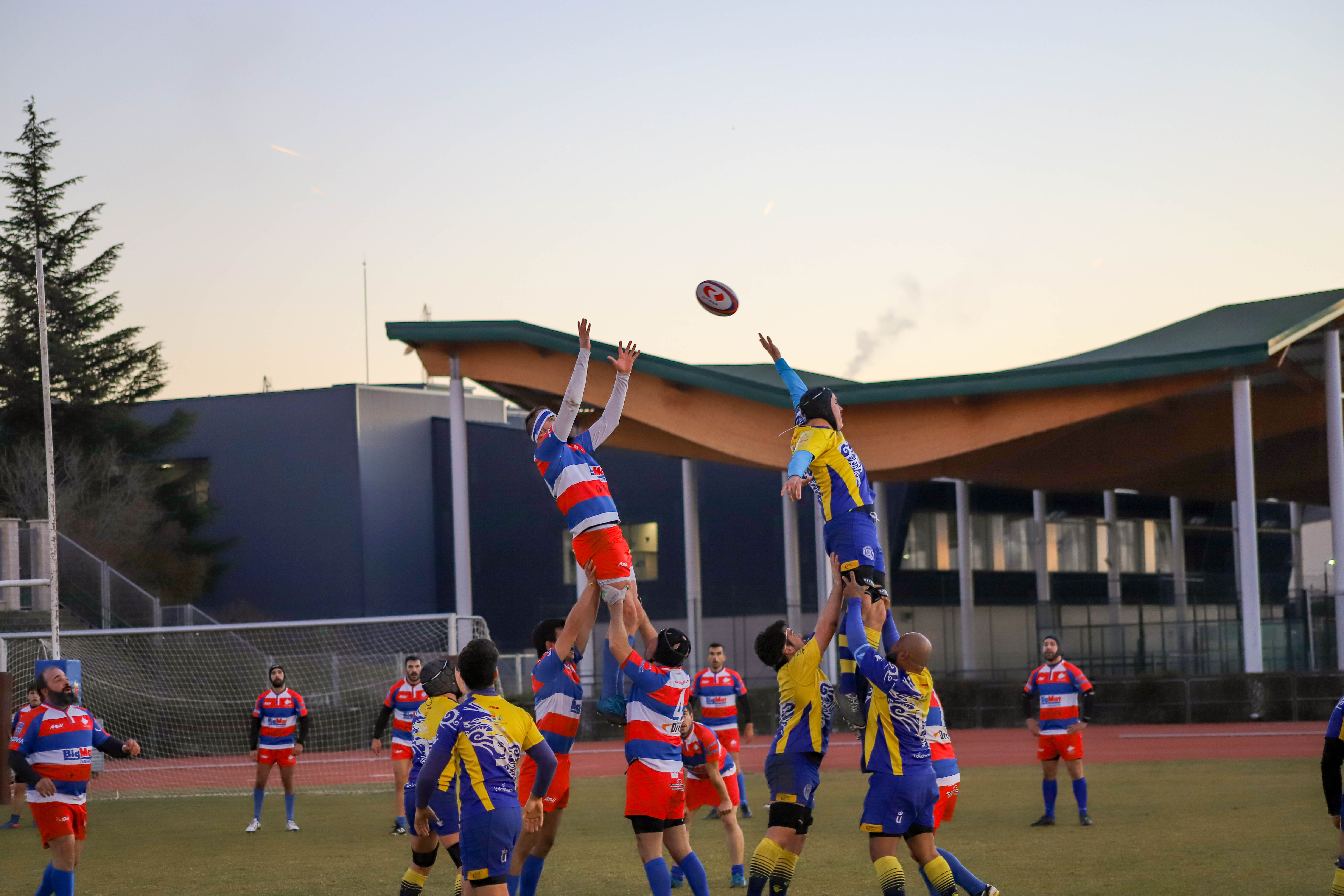 El BigMat Tabanera Lobos no pudo con el Alcorcón uno de los fuertes de la categoría