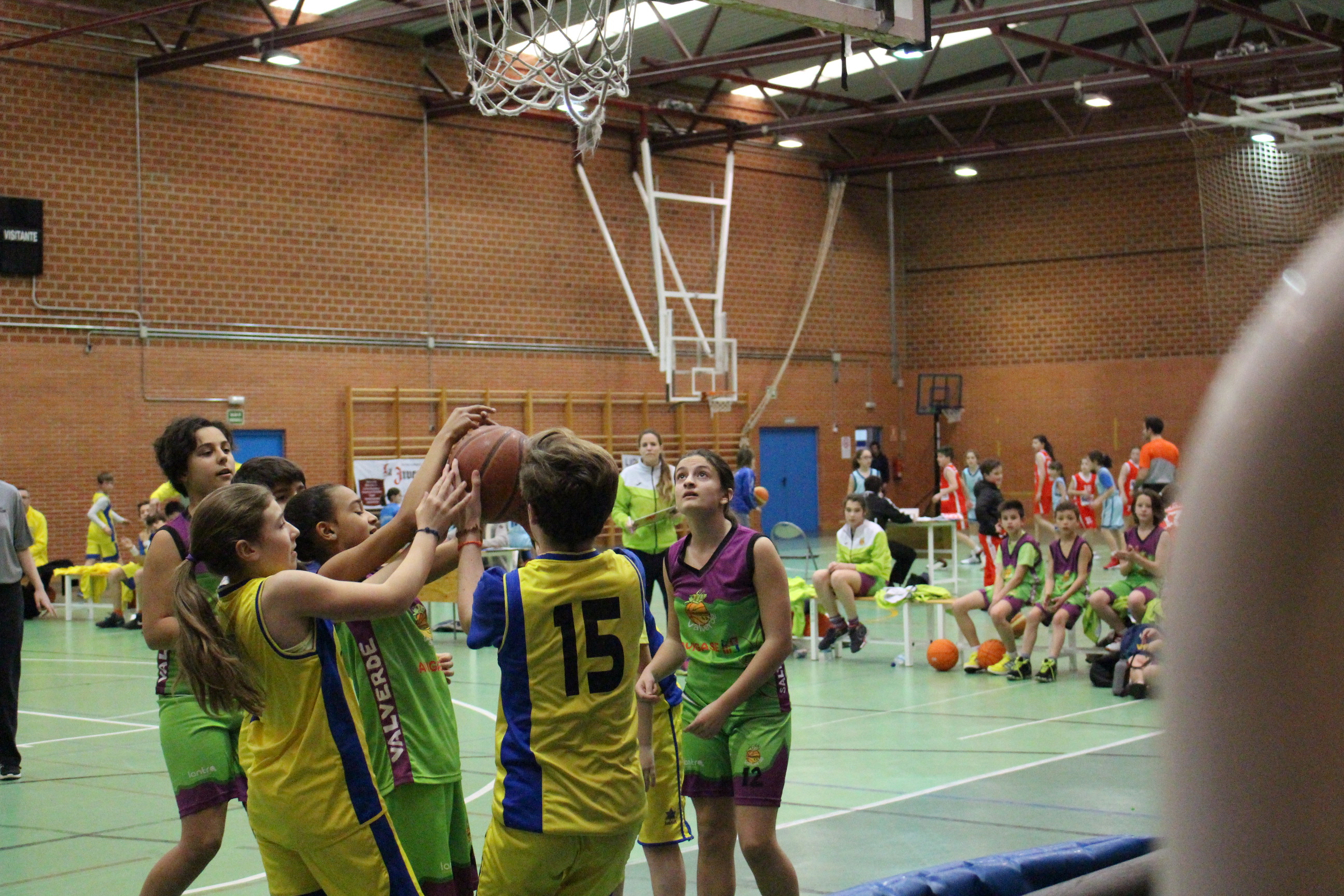 Baloncesto: llegan las finales de las ligas provinciales de edad