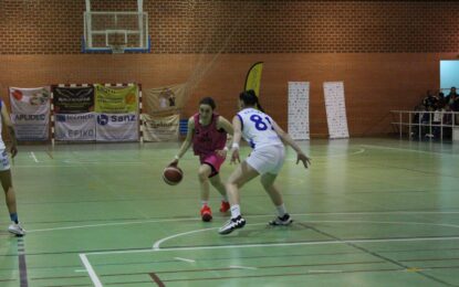 El Cochinillo Segoviano S.L: Crónica del Fin de Semana