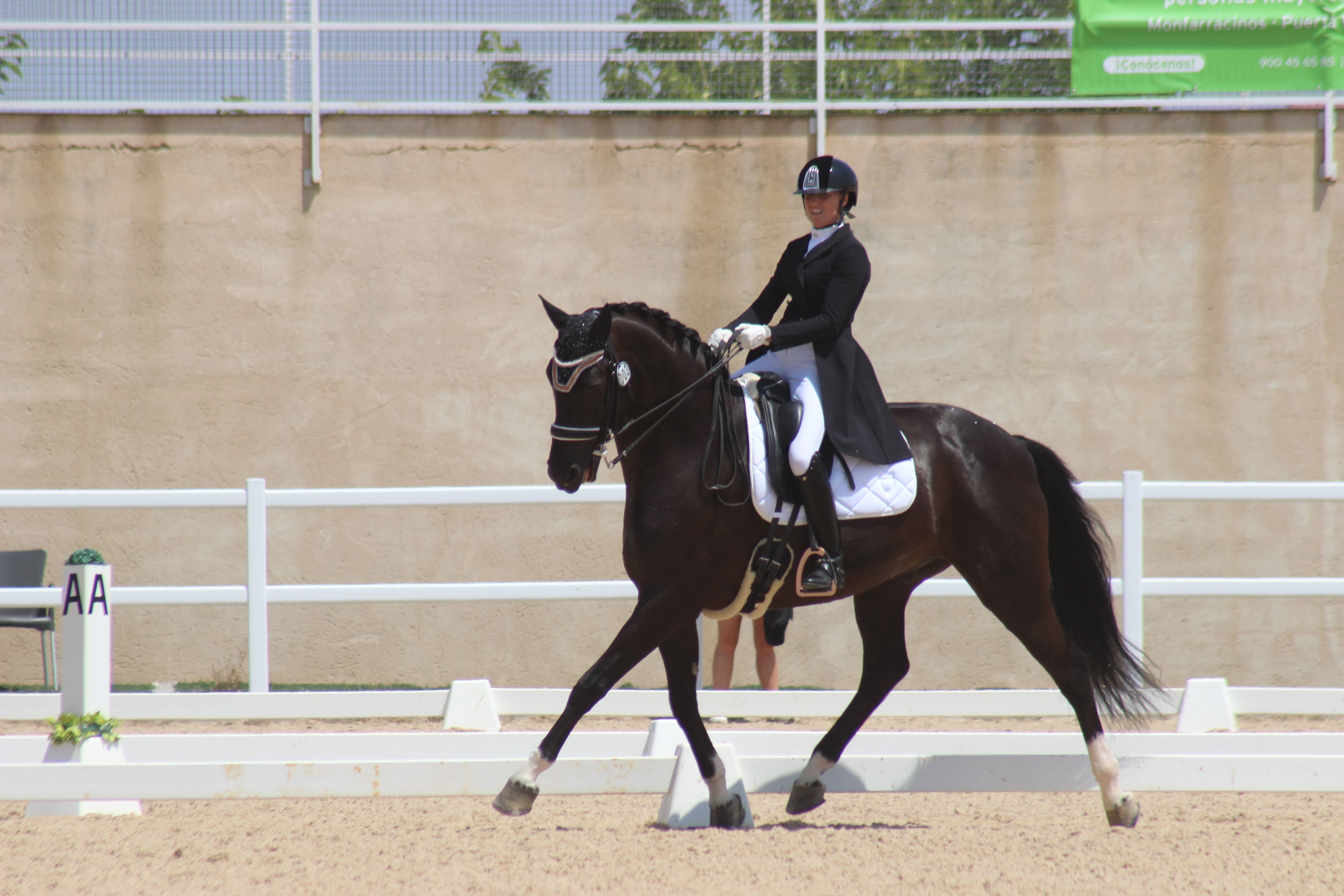 Arranca la “Semana de la Doma”, en el Centro Equus Duri de Zamora