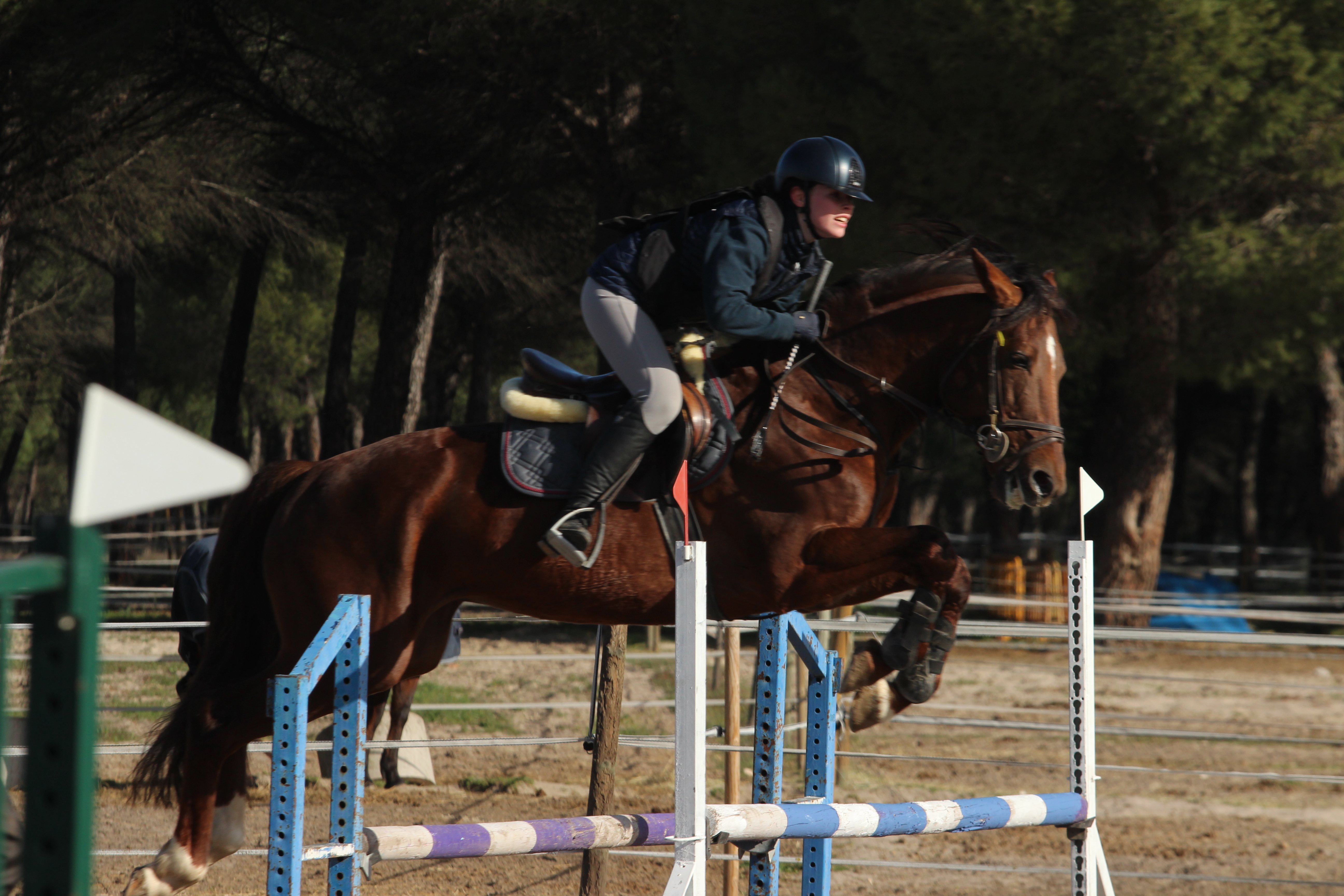 Centro Ecuestre de Castilla y León: Crónica de Fin de Semana