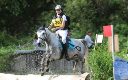 Campeonato de España de Ponis 2018