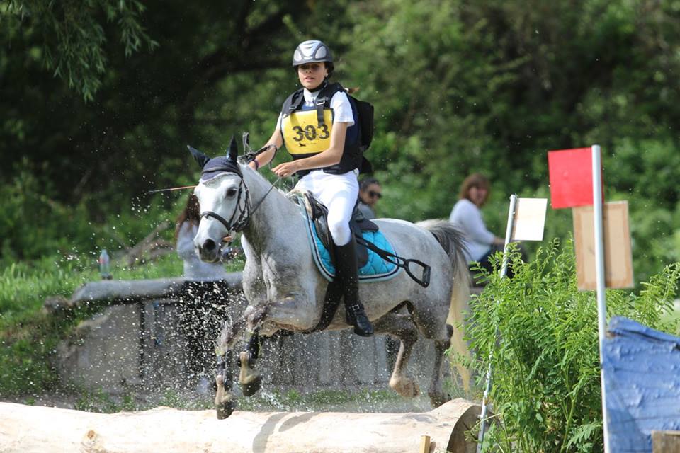 Campeonato de España de Ponis 2018