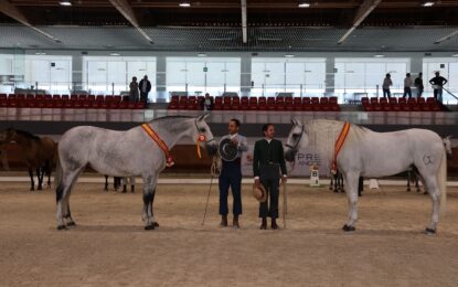 Concurso Morfológico de Segovia Centro Ecuestre de Castilla y León (Segovia:  10, 11 y 12 de octubre 2025)