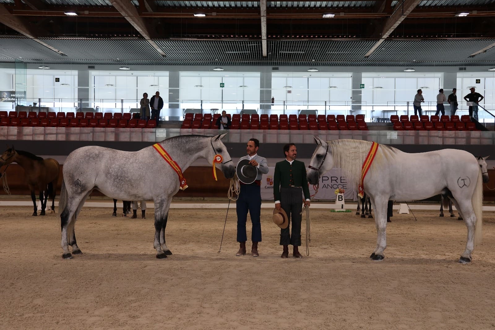 Concurso Morfológico de Segovia Centro Ecuestre de Castilla y León (Segovia:  10, 11 y 12 de octubre 2025)