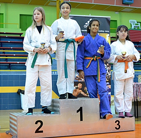 Campeonato Autonómico Alevín y Benjamín de Judo