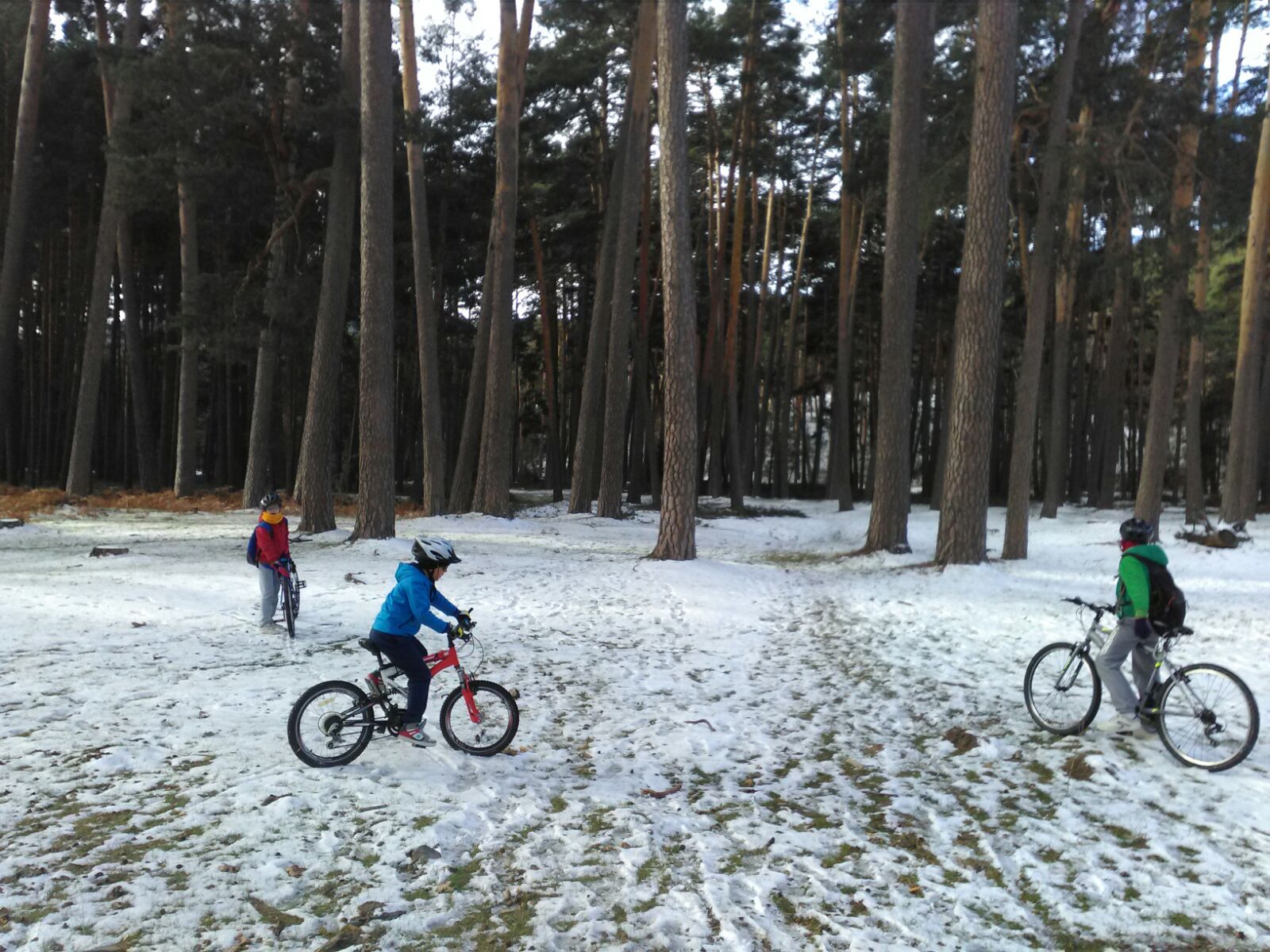 Ampliación de edades en la Escuela del club Triatlón IMD Segovia