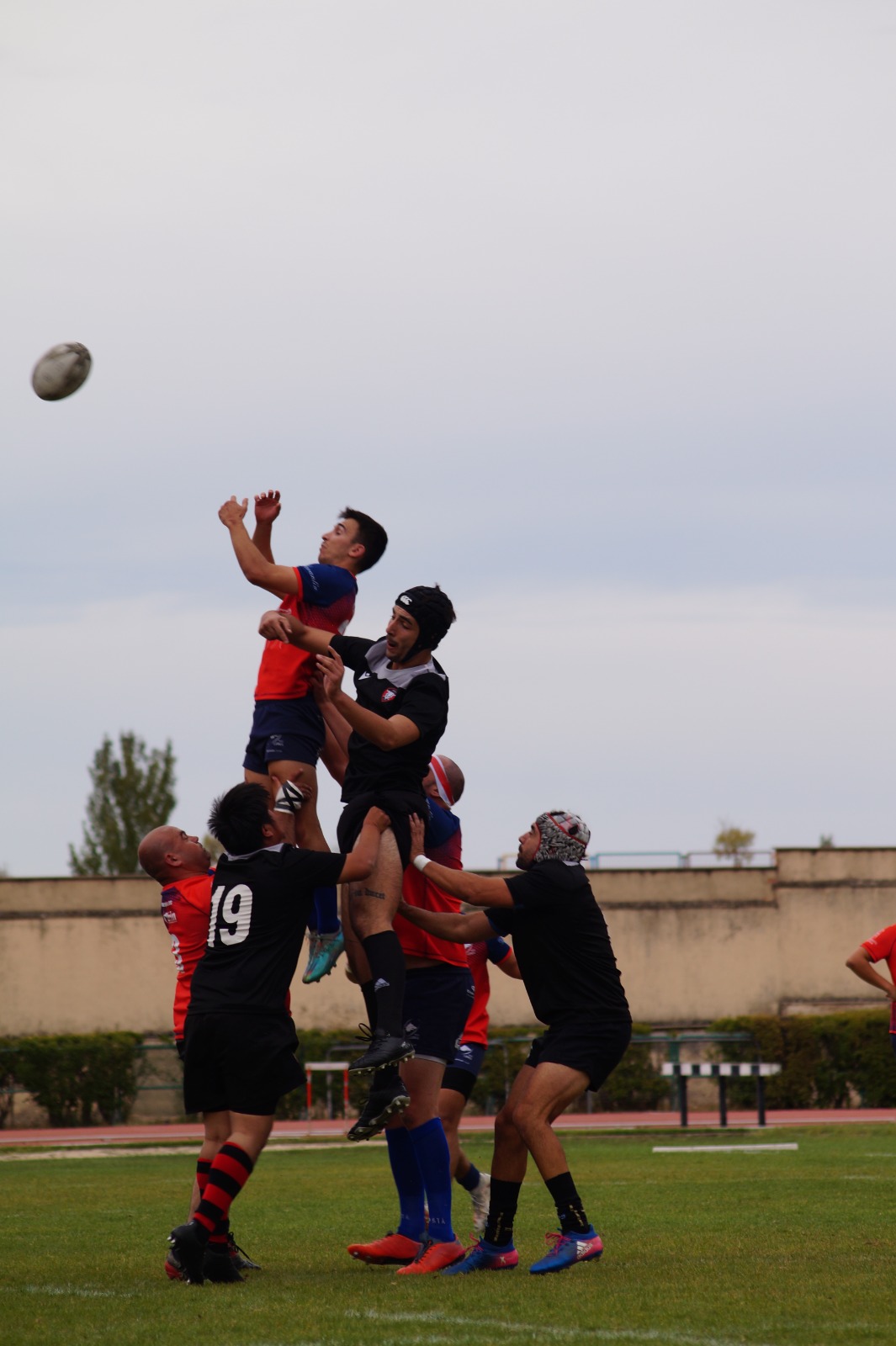 Gran Victoria del Bigmat Tabanera Lobos en su partido contra el Torrelodones