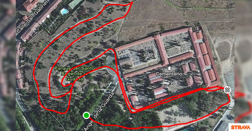 Circuito-7_detallesmod