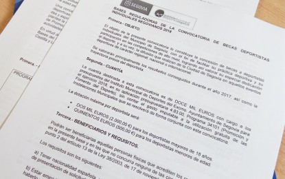 Convocatoria de Subvenciones y Becas 2018