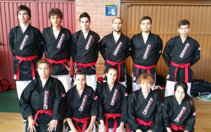 El Kenpo segoviano triunfa en el Consejo Superior de Deportes