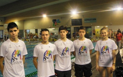 1 medalla de oro, cuatro de plata y una de bronce para los infantiles del club natacion imd segovia.