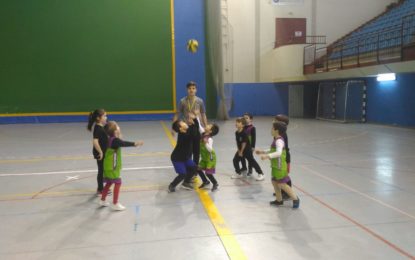 Los más pequeños también disfrutan del baloncesto