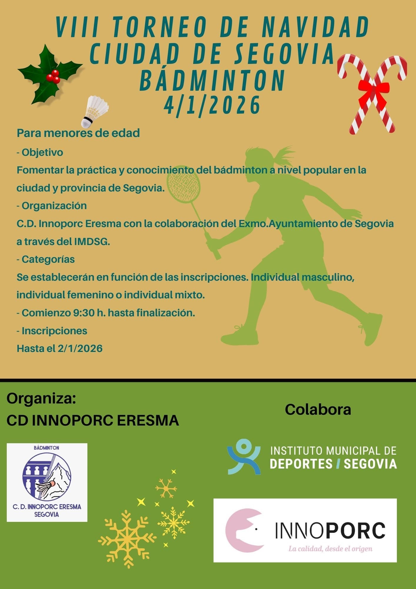 VIII Torneo de Navidad de Bádminton en Segovia